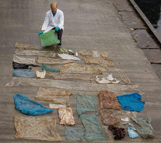 30 bags found inside dead whale