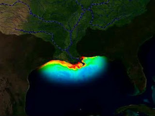 Dead Zone off of Gulf of Mexico, NOAA, dead zones, dead zone, Gulf of Mexico