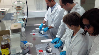 fish contamination testing