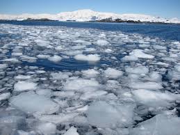 Image result for sea ice