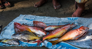 Mexican fish market