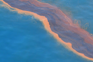 oil spill, gulf of mexico