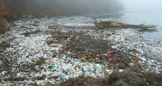 plastic litter in Arctic