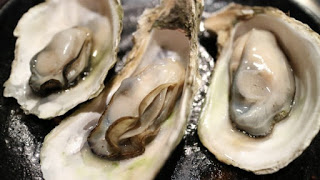 raw oysters, oysters