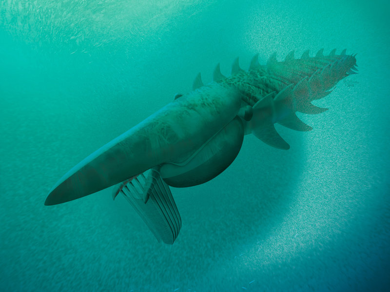 Reconstruction of the giant filter feeder, scooping up a plankton cloud. Aegirocassis benmoulae was one of the biggest arthropods that ever lived. Family members include today