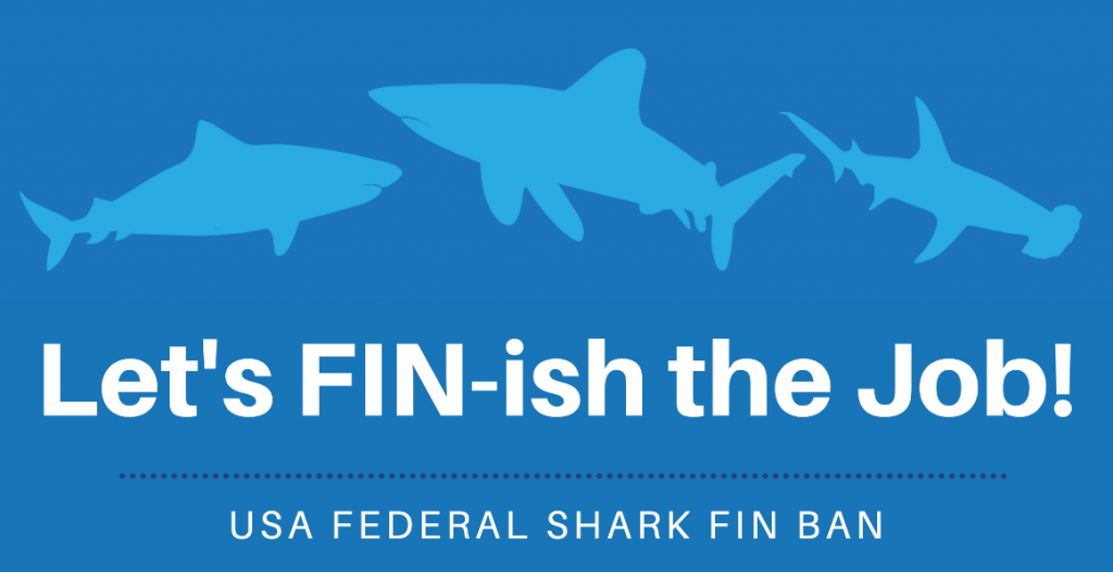 US Federal Shark Fin Ban Bill