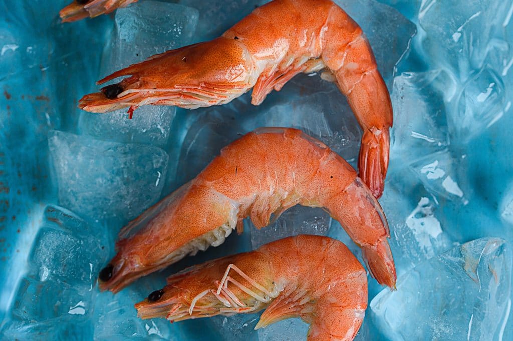 Canada Trails Other Countries in Tackling Seafood Fraud