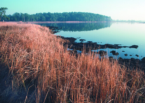 Chesapeake Bay