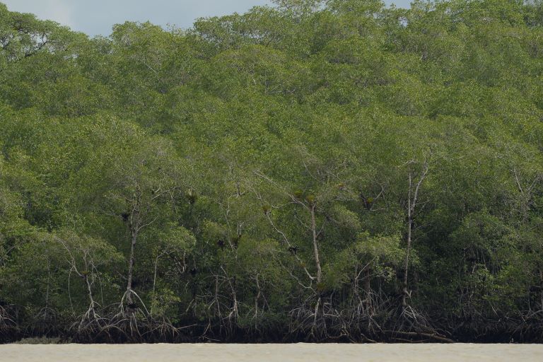 Isla Ají marine protected area