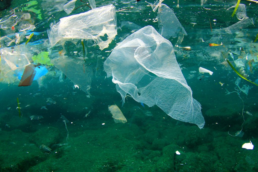 Plastic waste in water