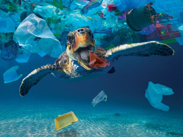 Sea turtle with plastic pollution