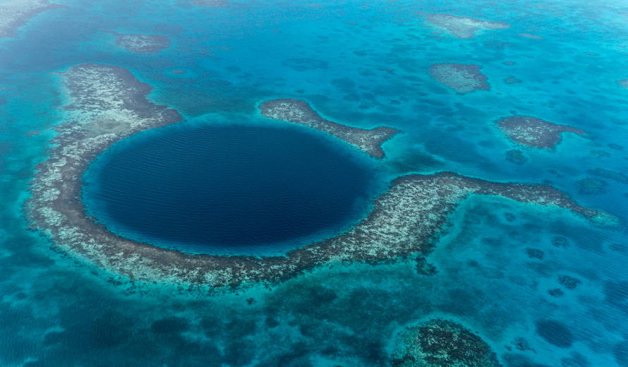 Belize reef