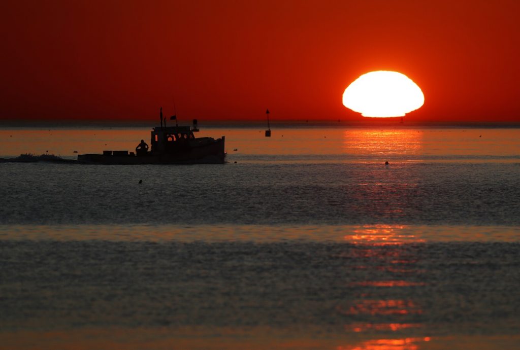 Gulf of Maine