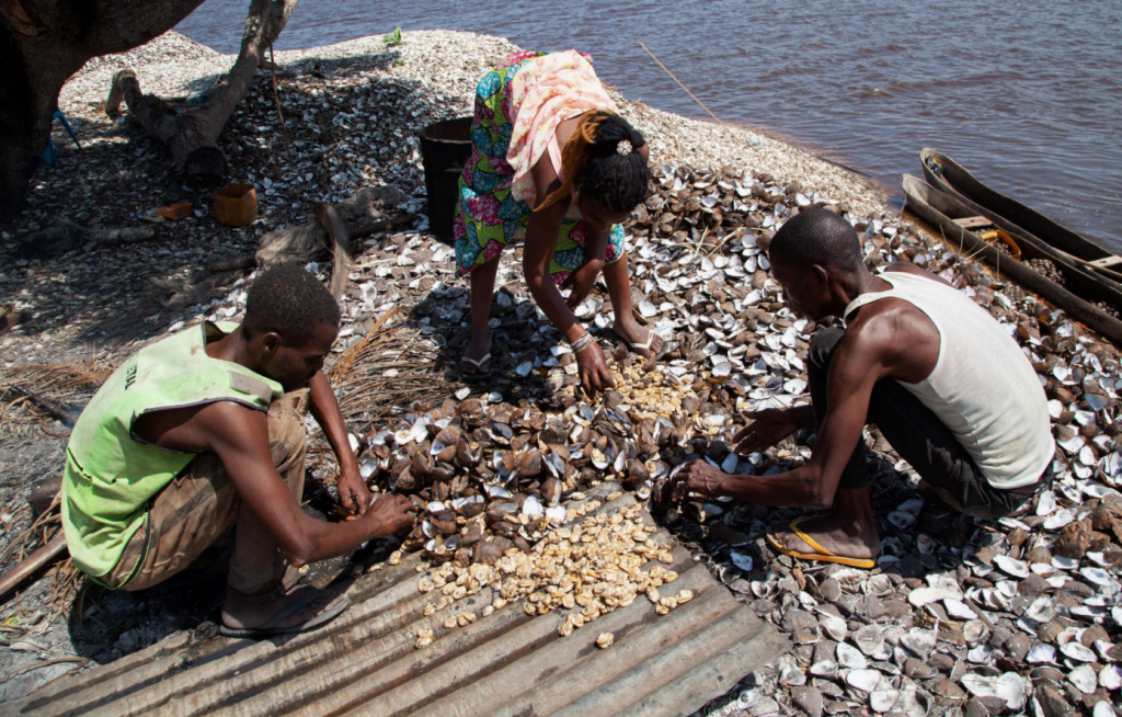 Clam-fishing