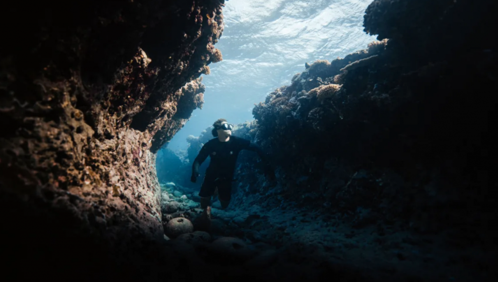 Coral planting