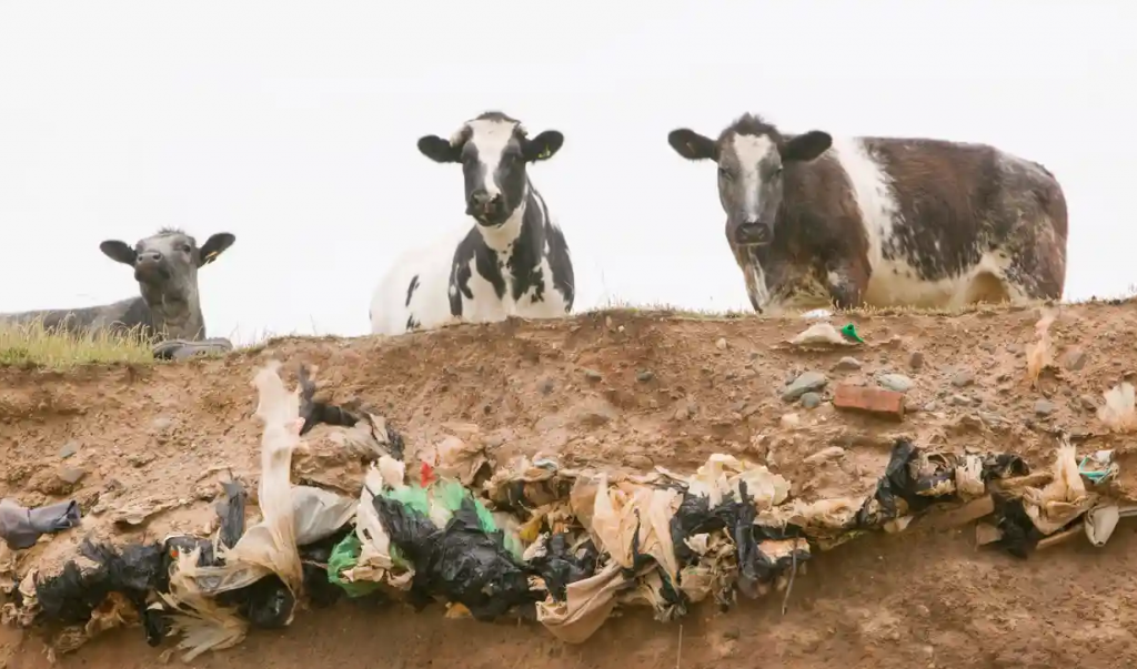 Landfill erosion