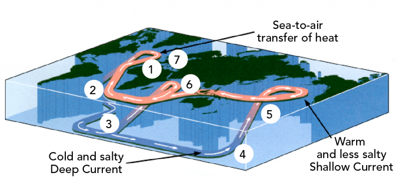 Ocean current model