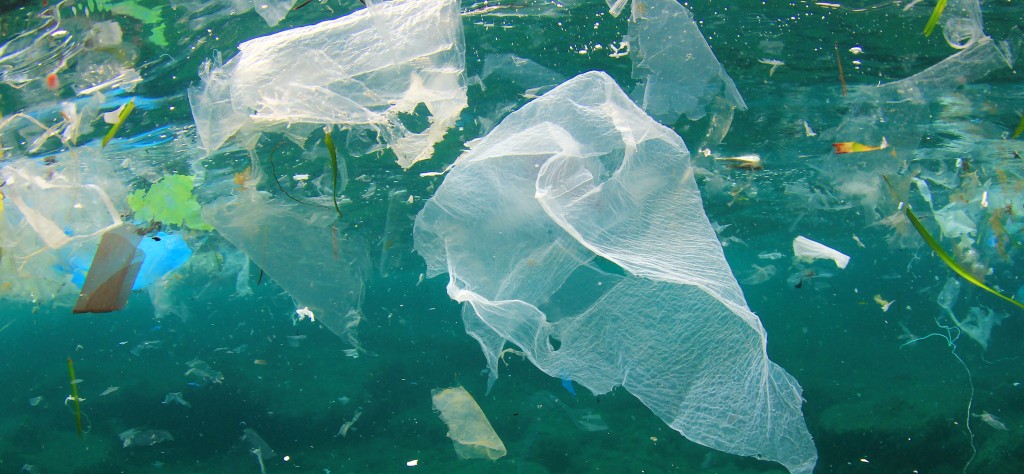 Ocean plastic