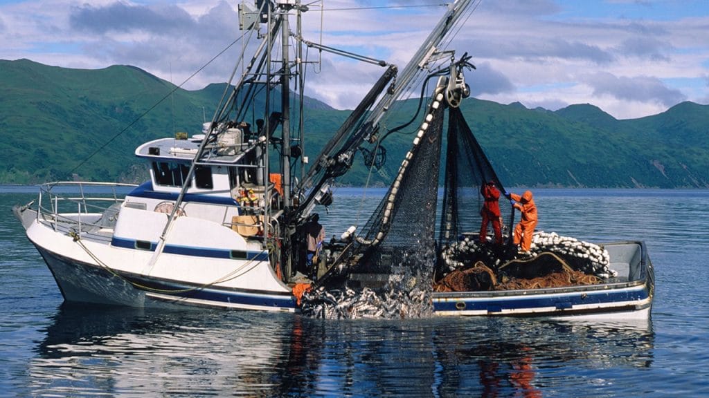 Fishing vessel