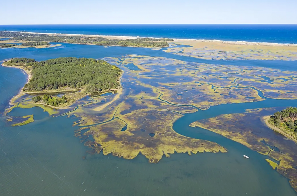 Cape Cod Bay