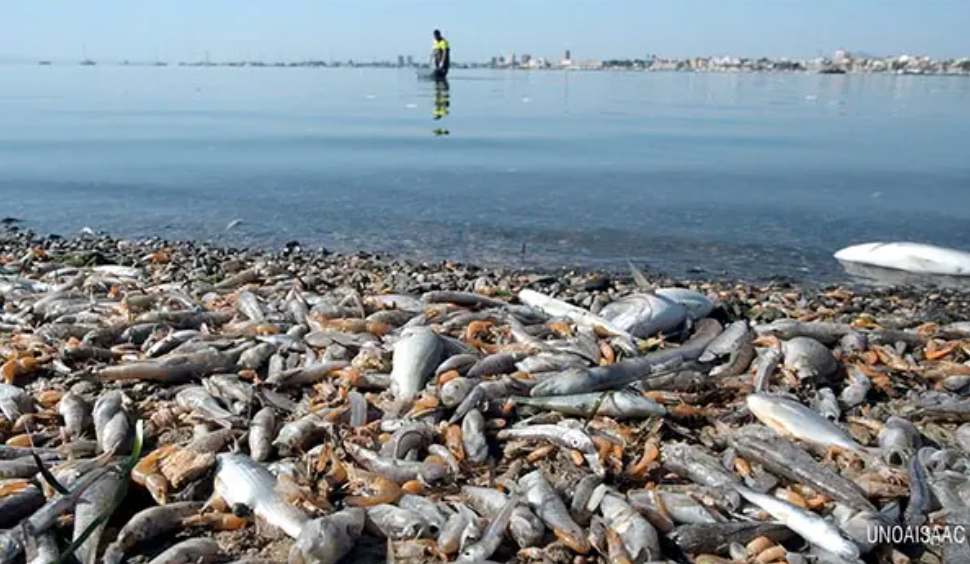 Polluted lagoon