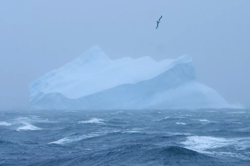 Southern Ocean