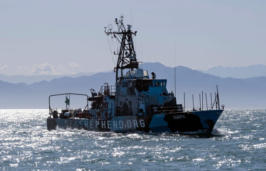 Sea Shepherd patrol