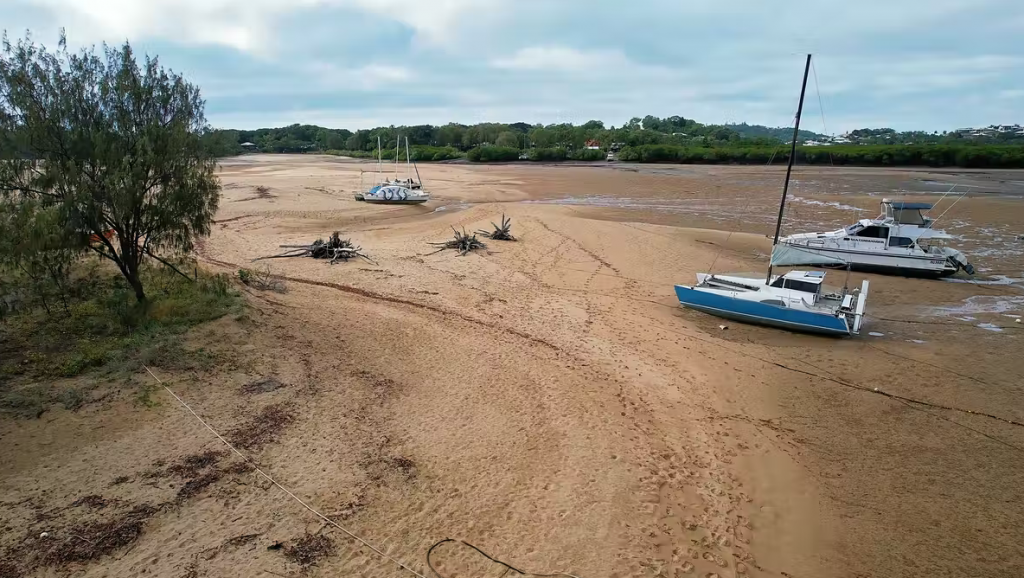 Growing beaches