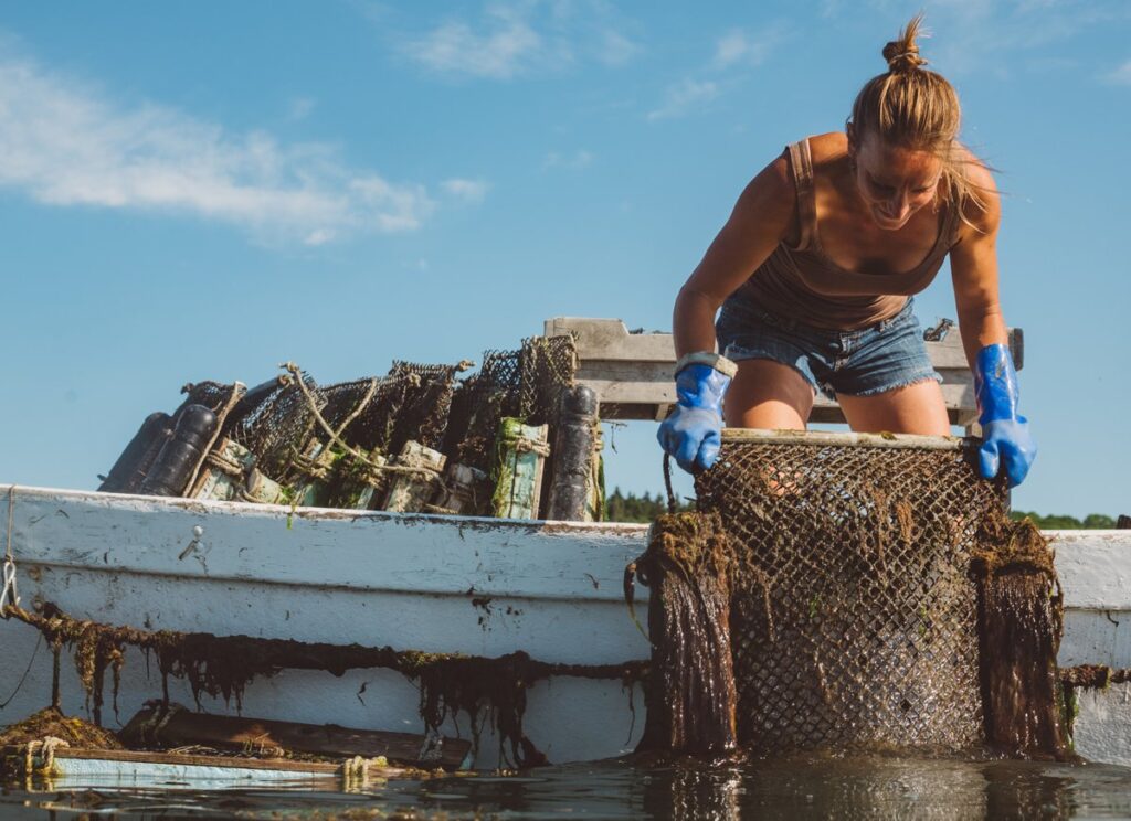 Sustainable aquaculture