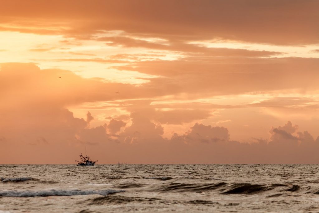 Shrimp boat