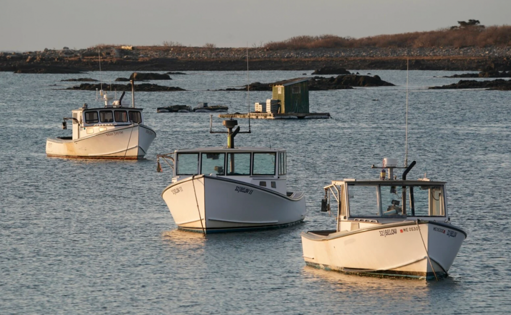 Lobster boats
