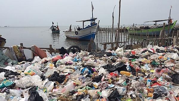 Plastic waste in harbor