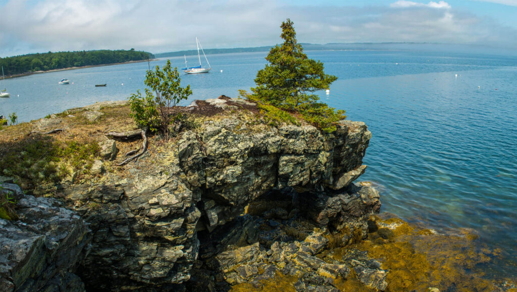 Gulf of Maine