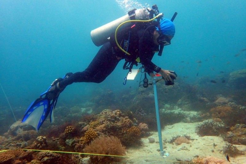 Coral reef assessment