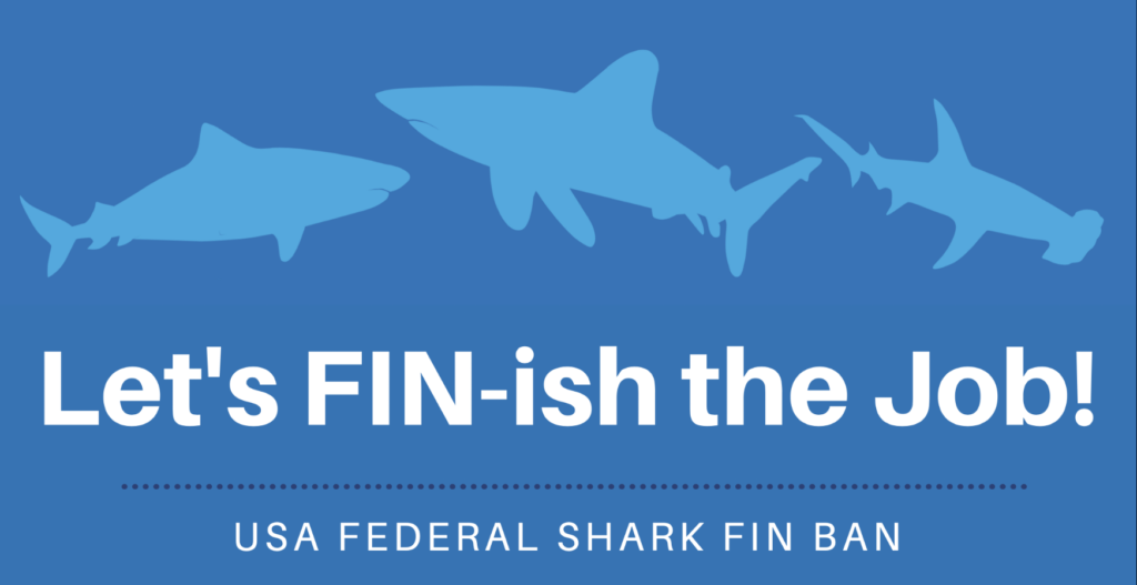 US Shark Fin Ban