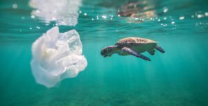 Navigating Challenges: Global Plastic Treaty Talks in Ottawa