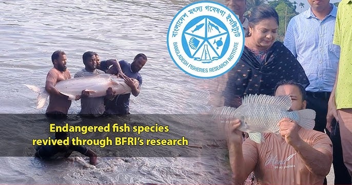 Bangladesh Blue Economy 