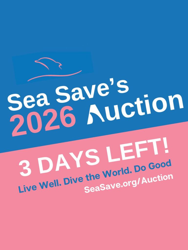 Instagram post from seasavefoundation. This post is in position 3.