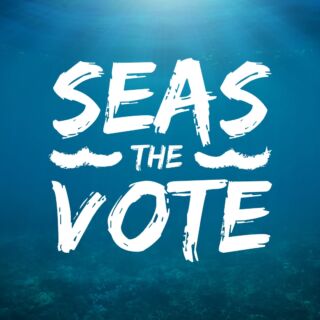 Instagram post from seasavefoundation. This post is in position 5.