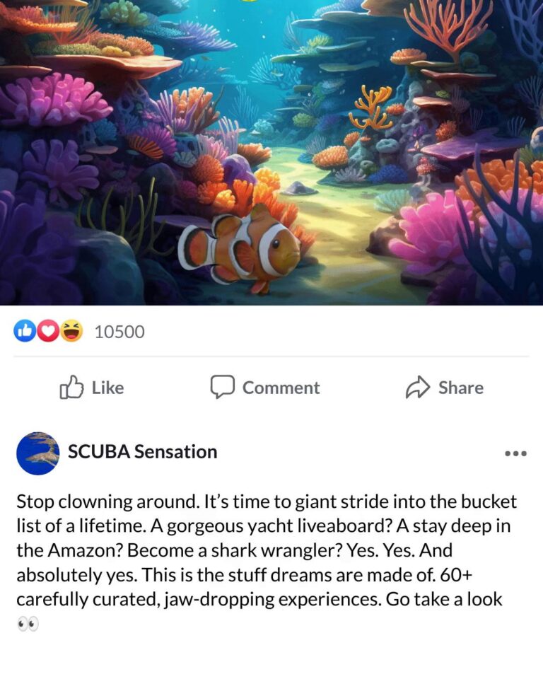 Instagram post from seasavefoundation. This post is in position 4.