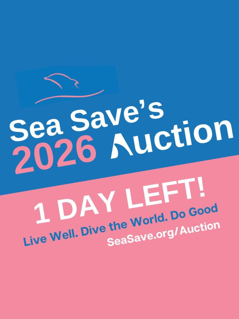 Instagram post from seasavefoundation. This post is in position 1.